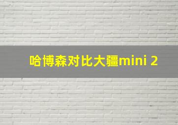 哈博森对比大疆mini 2